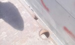 semirimorchio cardi_usato_coils spondato_sedi