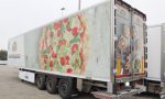 semirimorchio_frigorifero_indetruck_paratia_usato_1